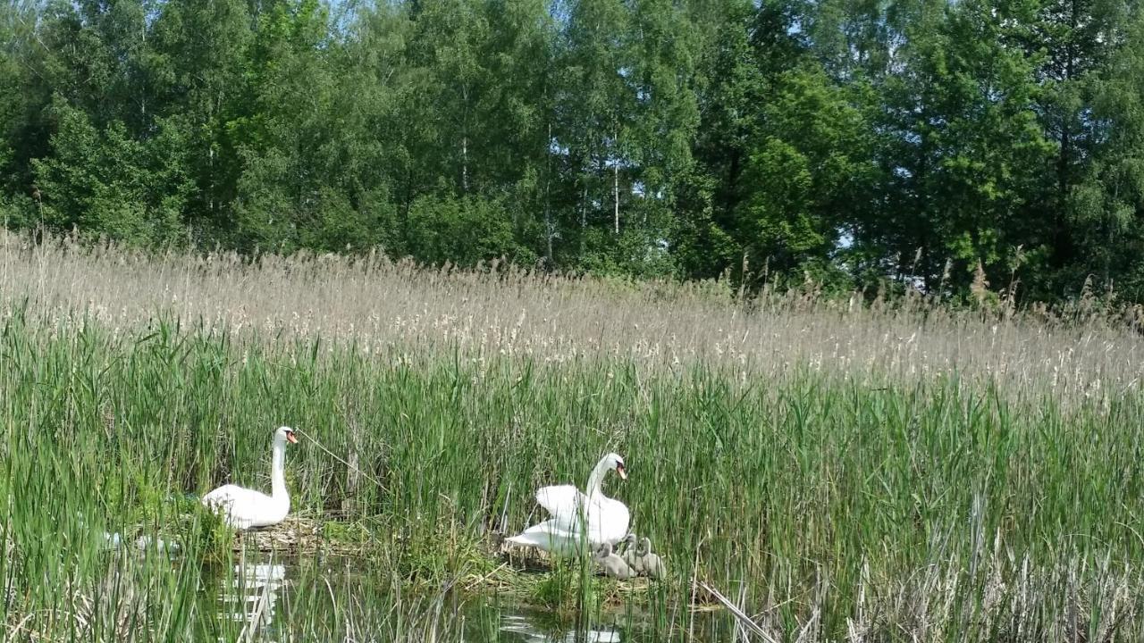 Mazury - Jezioro
